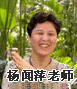 正保會計網校老師：楊聞萍老師