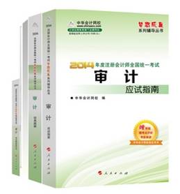 2014年“夢想成真”系列注會五冊直達全書－－審計