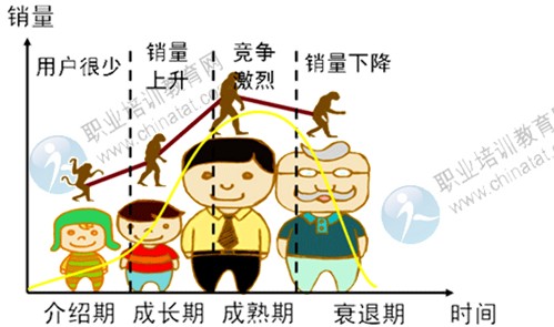 2014年中級經濟師考試工商管理專業精講：產品策略