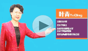 葉青老師2015初級職稱《經濟法基礎》考情分析