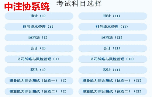 注冊會計師機考模擬系統