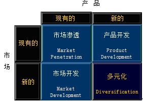 公司戰略知識點