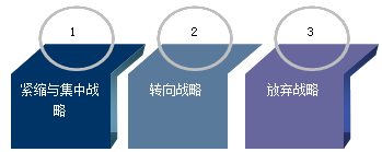 公司戰略與風險管理知識點