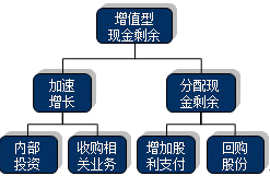 公司戰略與風險管理知識點