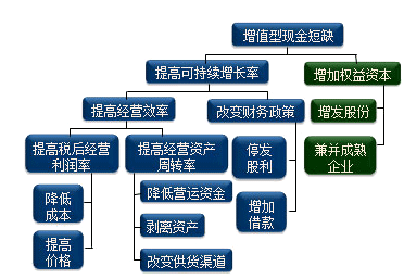 公司戰略與風險管理知識點