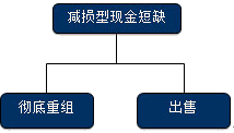 公司戰略與風險管理知識點