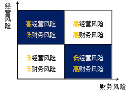 公司戰略與風險管理知識點