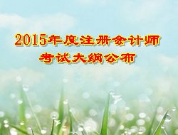 2015年度注冊會計師考試大綱公布