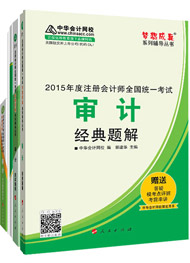 2015年注冊(cè)會(huì)計(jì)師“夢(mèng)想成真”輔導(dǎo)書五冊(cè)直達(dá)-審計(jì)
