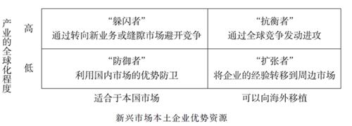 新興市場的企業戰略