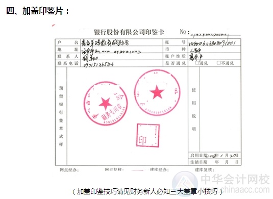 [圖解開戶流程]機關及實行預算管理的事業單位開立基本賬戶