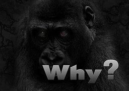 近三個月為什么不要招惹財務(wù)？