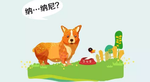 初級會計職稱報名成功了，會不會審核不通過？ 