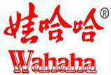 無形資產的概念和特征