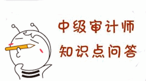 中級審計師《審計專業相關知識》答疑精華