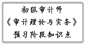 2017年初級審計師《審計理論與實務》預習階段知識點匯總