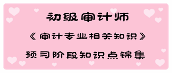 2017年初級審計師《審計專業相關知識》預習階段知識點匯總