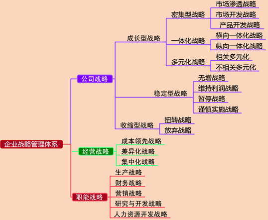 2017高級會計師《高級會計實務》預習知識點：企業戰略管理