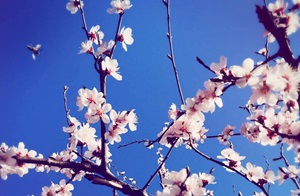 資產(chǎn)評估師考試報(bào)名條件