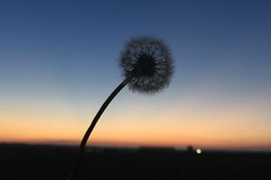 資產評估師考試報名條件
