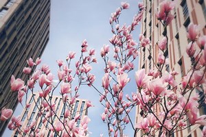 2017年永州市稅務師考試輔導培訓班 “奮戰到底”大型征文