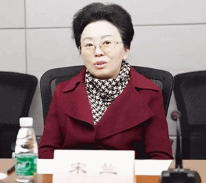 中稅協會長宋蘭講話