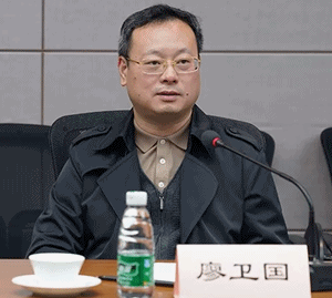 國家稅務總局納服司副司長廖衛國講話