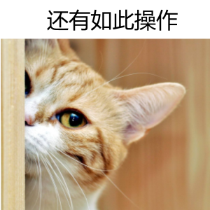 原來2017年注會成績查詢還有如此操作？