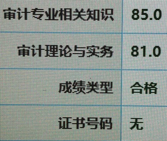 好樣的！零基礎頂住壓力高分拿下審計師