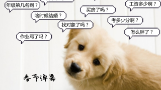 注會人過年最扎心問題 比問你年薪多少還要恐怖！ 