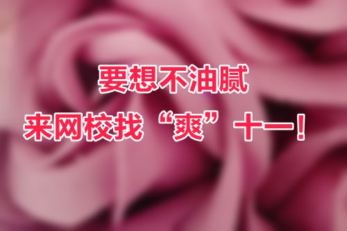 要想不油膩，來網校找“爽”十一！