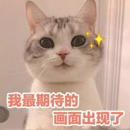 注會都考什么？一共幾科？