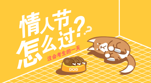 注會考生的情人節這樣過.