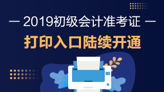 初級(jí)會(huì)計(jì)職稱
