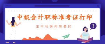 中級(jí)會(huì)計(jì)考試準(zhǔn)考證