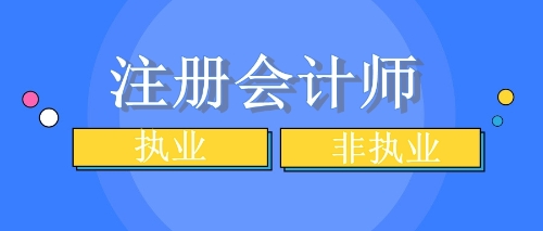 注會執業與非執業