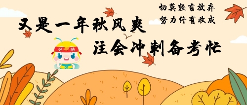 又是一年秋風爽 注會沖刺備考忙