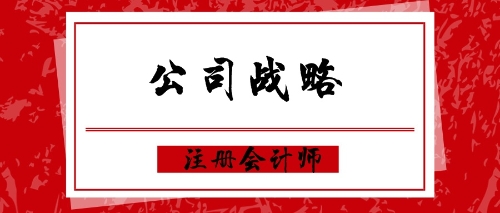 公司戰略練習題