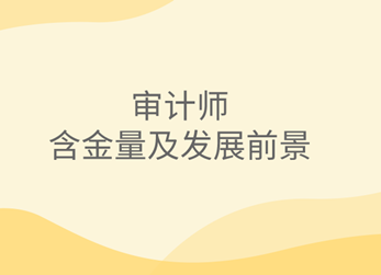 審計師含金量及發展前景