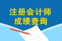 12月能查2019年注會(huì)成績嗎？