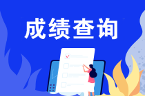什么條件能申請2019注會成績復(fù)核？