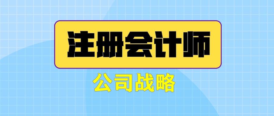 注冊會計師《公司戰略》練習題