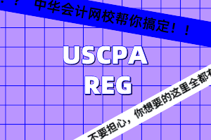 USCPA REG 知識點：個人所得稅-穿透實體收入