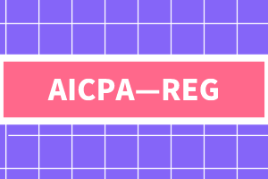 AICPA—REG知識點：美國聯邦司法審判體系