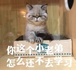 養成10個CPA備考學習習慣~學習效率提升30%