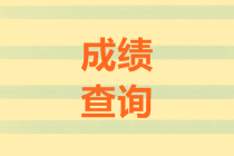 湖南2020高級(jí)會(huì)計(jì)師成績(jī)查詢時(shí)間
