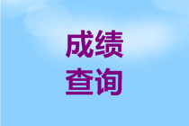 2020年廣西會計高級職稱成績查詢時間