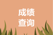 2019年四川高會考試成績查詢步驟