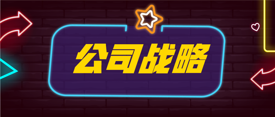 注冊會計師《公司戰略》