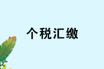 私人賬戶發工資？個稅匯算清繳難逃預警！
